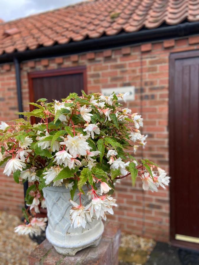 Willow Tree Cottages Newark upon Trent Exterior foto